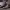 https://res.cloudinary.com/billionhands/image/upload/v1775556986/items/lyiewlppvf2vta2ri10h.webp-0cover