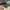 https://res.cloudinary.com/billionhands/image/upload/v1775557157/items/xfe4wyevumu6bk2hznbn.webp-3cover