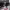 https://res.cloudinary.com/billionhands/image/upload/v1775557484/items/ptnmnggtk2l4qob4syny.jpg-3cover