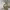 https://res.cloudinary.com/billionhands/image/upload/v1775557497/items/rftltyuw3za6iusezeqk.webp-3cover