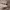 https://res.cloudinary.com/billionhands/image/upload/v1775557547/items/krmypvl16m0bwdbgiwzs.jpg-3cover