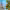 https://res.cloudinary.com/billionhands/image/upload/v1775557733/items/k9tujalhxmjzt79bm4va.jpg-0cover