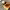 https://res.cloudinary.com/billionhands/image/upload/v1775557807/items/jsgyaygnlnynfbvpltcr.webp-2cover