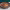 https://res.cloudinary.com/billionhands/image/upload/v1775557812/items/pwmcyovncmtmq8cphiti.jpg-2cover