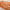https://res.cloudinary.com/billionhands/image/upload/v1775557813/items/vzp5kbfneql1g7hhfyb3.jpg-3cover