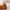 https://res.cloudinary.com/billionhands/image/upload/v1775557813/items/wpdlfii04uqb44fotnxr.jpg-3cover