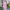 Light pink midi dress with asymmetric neckline cover
