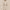 https://res.cloudinary.com/billionhands/image/upload/v1775557818/items/qblzlcuhjqxqamzgupv5.webp-1cover