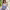 https://res.cloudinary.com/billionhands/image/upload/v1775557819/items/sq1klp3coqwgp8q70mxd.jpg-2cover