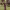 https://res.cloudinary.com/billionhands/image/upload/v1775557819/items/xgbrfl316i5thr72rexf.webp-3cover