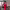 Dress with an open back and lantern sleeves (in red) cover
