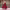 https://res.cloudinary.com/billionhands/image/upload/v1775557821/items/fvsignqtrvtrlnfphlz1.avif-2cover