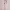 https://res.cloudinary.com/billionhands/image/upload/v1775557822/items/k0kq9tgqxmjfkvj3t1t9.jpg-3cover