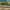 https://res.cloudinary.com/billionhands/image/upload/v1775558022/items/fkni9ijjmhwcvjrjzwda.jpg-0cover