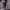 https://res.cloudinary.com/billionhands/image/upload/v1775558202/items/n6spthrxwnivvxctdfna.jpg-2cover