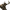 https://res.cloudinary.com/billionhands/image/upload/v1775558328/items/ni8ruuuabjnae2ruzc3r.webp-3cover