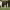 https://res.cloudinary.com/billionhands/image/upload/v1775558491/items/lqbxggavedf0hfzoc4v0.jpg-3cover