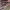 https://res.cloudinary.com/billionhands/image/upload/v1775558521/items/h17flrvlkyperalj74ro.jpg-2cover