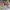 https://res.cloudinary.com/billionhands/image/upload/v1775558521/items/tmjjtrgjzqltnnb6jjdj.jpg-0cover