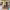 https://res.cloudinary.com/billionhands/image/upload/v1775558522/items/yitpf9qoadeokz2dstxs.jpg-2cover