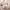https://res.cloudinary.com/billionhands/image/upload/v1775558688/items/xqxkbrltp43x5iu1jxxq.webp-2cover