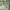 https://res.cloudinary.com/billionhands/image/upload/v1775558754/items/of5z4bvjithynu1hsjm3.jpg-1cover