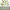 https://res.cloudinary.com/billionhands/image/upload/v1775558774/items/hiu9eiptwsmijsmlfh7b.jpg-0cover