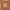 https://res.cloudinary.com/billionhands/image/upload/v1775558793/items/w19jwyuhgfpzcpvbato9.jpg-2cover