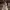 https://res.cloudinary.com/billionhands/image/upload/v1775558799/items/ehtyskipqxoumeuvlyem.webp-3cover
