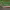 https://res.cloudinary.com/billionhands/image/upload/v1775558880/items/h5sagjpo3i4dzzya9wcy.jpg-1cover