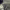 https://res.cloudinary.com/billionhands/image/upload/v1775558882/items/oayw7mlit0jhpzskplkx.jpg-2cover