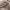 https://res.cloudinary.com/billionhands/image/upload/v1775558883/items/xf8k1xrvqj7ktdxzw9lq.jpg-2cover