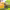 https://res.cloudinary.com/billionhands/image/upload/v1775559077/items/avpulzfqtyk9v3ezku1v.png-1cover