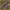 https://res.cloudinary.com/billionhands/image/upload/v1775559083/items/yskjug5kbsrhfo7bfa0q.jpg-3cover
