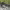 https://res.cloudinary.com/billionhands/image/upload/v1775559088/items/vlozbazp41gbwofsmbgk.jpg-3cover