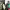 https://res.cloudinary.com/billionhands/image/upload/v1775559134/items/kvxxz7jmzg08icfcon3h.png-2cover