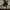 https://res.cloudinary.com/billionhands/image/upload/v1775559185/items/gvr6vyabzypzguh6rphj.jpg-0cover