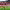 https://res.cloudinary.com/billionhands/image/upload/v1775559406/items/geglc7spuzdizmschlry.webp-3cover