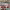 https://res.cloudinary.com/billionhands/image/upload/v1775559411/items/hkgncaxi1iiqqqq29ymw.jpg-0cover