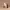 https://res.cloudinary.com/billionhands/image/upload/v1775559444/items/r43shyxwiapkemrovmkk.webp-2cover