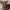 https://res.cloudinary.com/billionhands/image/upload/v1775559462/items/unjvyz2ctmjvno43teaf.avif-0cover