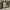 https://res.cloudinary.com/billionhands/image/upload/v1775559466/items/bhfspi9ds1ooryxgtpqp.avif-3cover