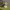https://res.cloudinary.com/billionhands/image/upload/v1775559470/items/bgodjh2wfanzjdla8eyv.webp-0cover