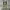 https://res.cloudinary.com/billionhands/image/upload/v1775559651/items/snzg0xndme7h36xhedfi.jpg-2cover