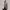 https://res.cloudinary.com/billionhands/image/upload/v1775559772/items/uqycn5sl8rmfcq2wvwyo.jpg-2cover
