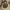 https://res.cloudinary.com/billionhands/image/upload/v1775559844/items/qh7syinxfpdfsomaddyy.jpg-0cover