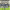 https://res.cloudinary.com/billionhands/image/upload/v1775559951/items/ucwvcnznyxlr2gadgkzm.png-2cover