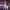 https://res.cloudinary.com/billionhands/image/upload/v1775560236/items/jintkeqqshvu1rz2gqkk.webp-2cover