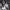 https://res.cloudinary.com/billionhands/image/upload/v1775560237/items/ivjjvvrbgbiyw53abvhy.webp-3cover