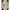 Apaloseco 750 (2024) cover